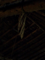 [picture: Rope in the barn 5]