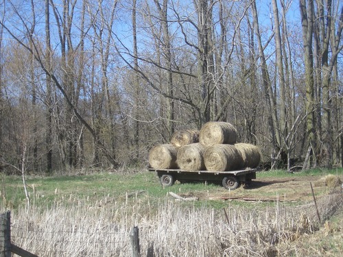 [Picture: Hay cart 2]