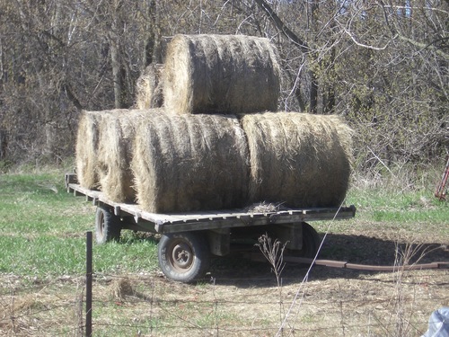 [Picture: Hay cart 3]