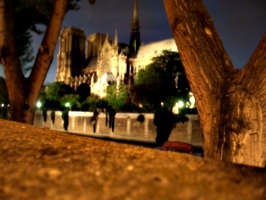 [picture: Notre Dame at night 4]