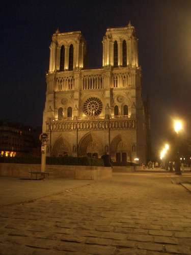 [Picture: Notre Dame at night 3]