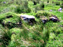 [picture: Ancient hill fort 4]