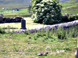[picture: Isolated graveyard 8]