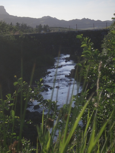 [Picture: Bridge over a brook 2]