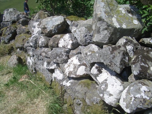 [Picture: Dry stone wall]