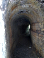 [picture: A curved brick tunnel outside]