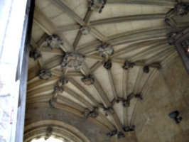 [picture: Vaulted stone ceiling]