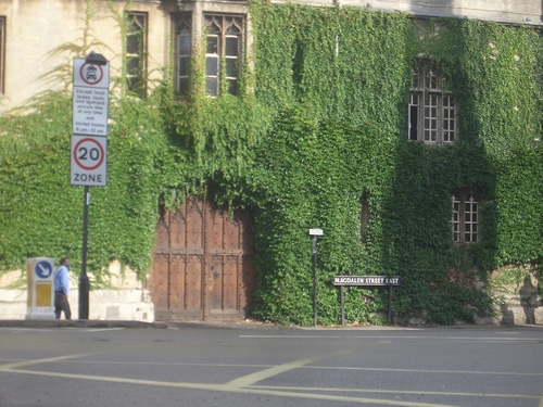 [Picture: Door through ivy-covered wall 3]