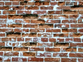 [picture: Brickwork 1]