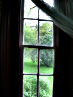 [picture: Downstairs vestibule window from inside]