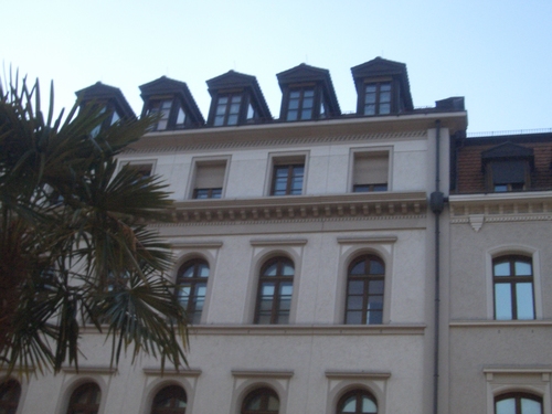 [Picture: Tree and building 2]