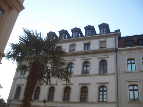 [Picture: Tree and building 3]