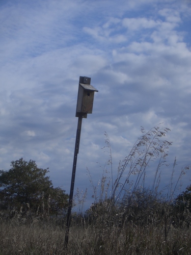 [Picture: Birdhouse]