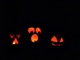 [picture: Halloween Pumpkins]