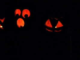 [picture: Halloween Pumpkins 3]