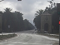 [Picture: Stanford Campus: the avenue]