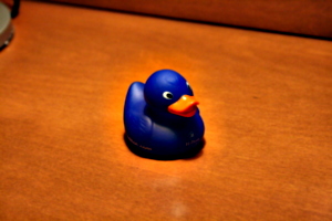 [picture: Hilton Duck]