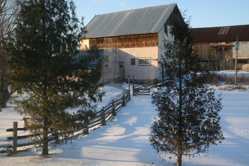 [Picture: Path to the Gallery 2]