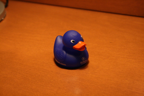 [Picture: Hilton Duck]