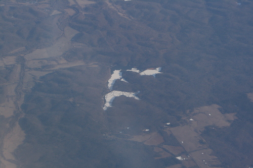 [Picture: Frozen lakes in the forest 1]