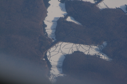 [Picture: Frozen lakes in the forest 3]