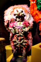[picture: First Nations Pink costume]