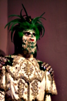 [picture: New Orleans Mardi Gras Costume 2]