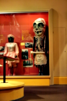 [Picture: Death Skeleton Mardi Gras Costume]
