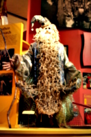 [Picture: Merlin the Wizard Mardi Gras Costume 2]