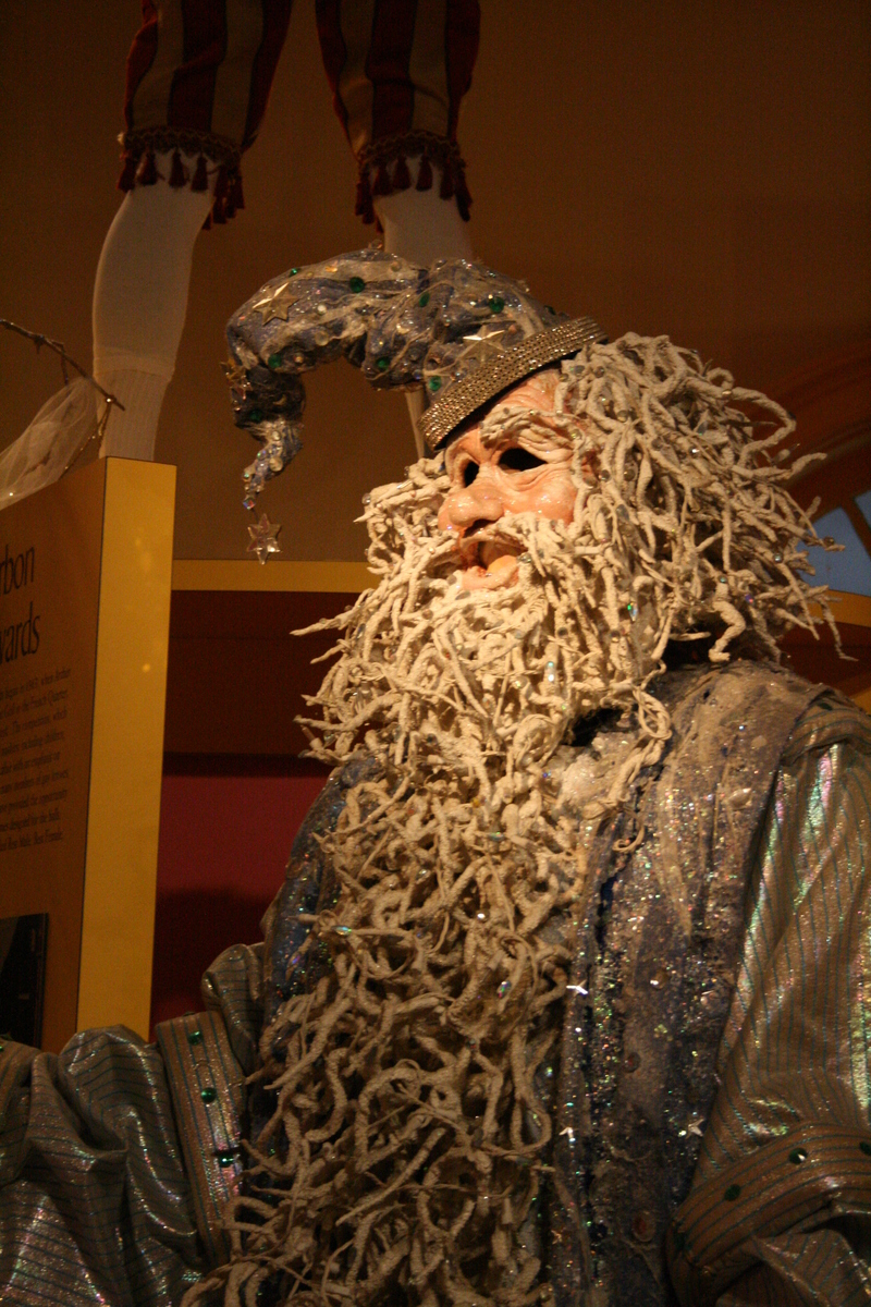 [Picture: Merlin the Wizard Mardi Gras Costume 3]