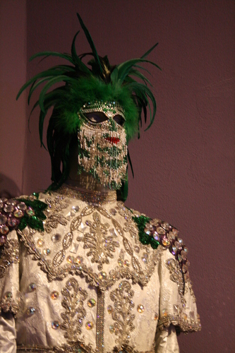 [Picture: New Orleans Mardi Gras Costume 2]