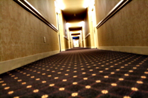 [picture: Hotel carpet]