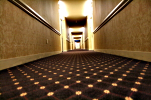 [picture: Hotel carpet 2]