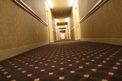 [Picture: Hotel carpet]