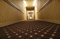 [Picture: Hotel carpet 2]