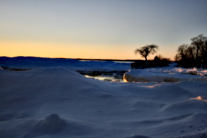 [picture: Point Petre Tree in Winter 2]