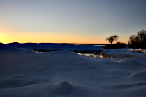 [picture: Point Petre Tree in Winter 3]