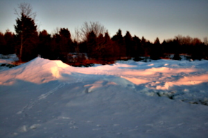 [picture: Winter Sunset Trees]