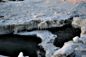 [picture: Icicles on the Beach 1]