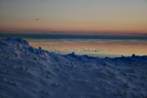 [picture: Pastel Snow With Birds]