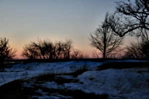 [picture: Winter trees at the shore]