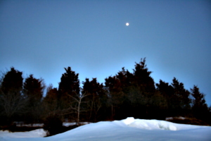 [picture: Winter forest with full moon 2]