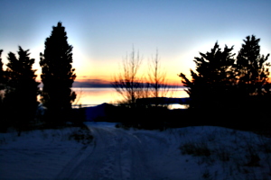 [picture: Path to the beach]