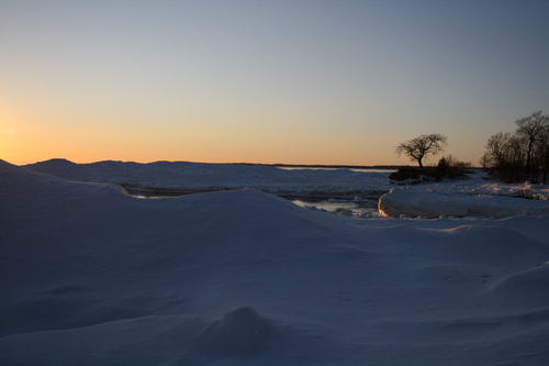 [Picture: Point Petre Tree in Winter 3]