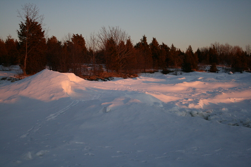 [Picture: Winter Sunset Trees]