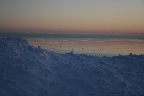 [Picture: Pastel Snow With Birds]