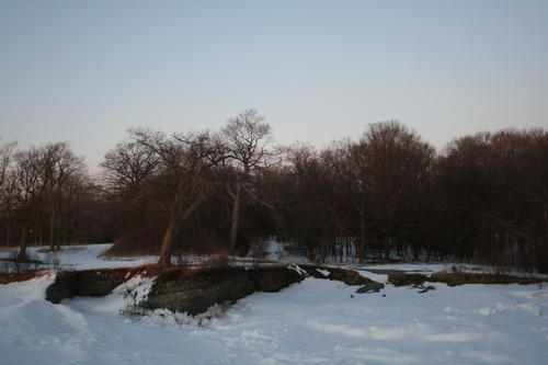 [Picture: Winter forest]