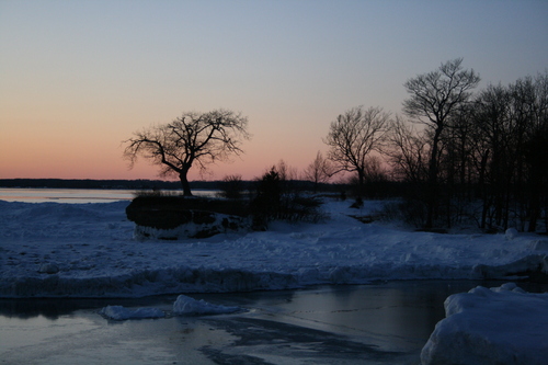 [Picture: Tree and snow]