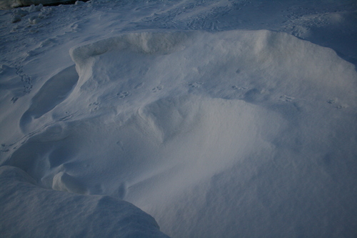 [Picture: Footprints in the snow]