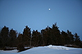 [Picture: Winter forest with full moon 2]